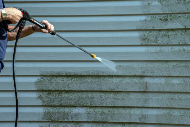 Best Roof Washing  in Seaside Park, NJ